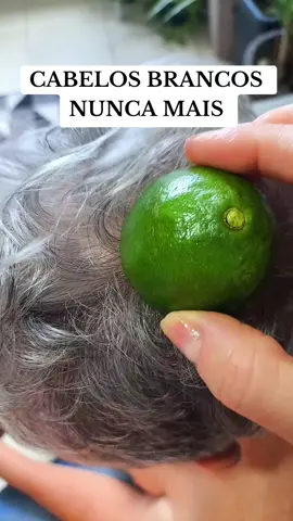 #limaodicas #limao#azeitedeoliva #cabelosperfeitos #cabelosbrancosegrisalhos #