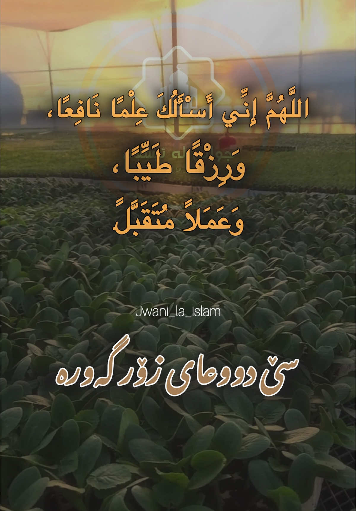 دوعای نوێژی بەیانی!! 🤍 سێ دوعای زۆر گەورە 🌸#jwani_la_islam #جوانی_لە_ئیسلام #لاحول_ولا_قوة_الا_بالله #قورئان_ئارامی_دڵان🕋📿 #صلوا_على_رسول_الله #قورئان_بەکوردی #کورد #کوردستان🇹🇯️ #سلێمانی #هەولێر #viral #foryou #foryoupage #fyp #الله #لا_اله_الا_الله 