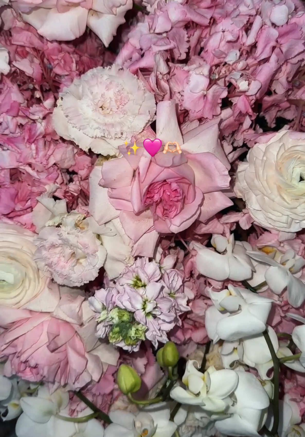 #рек #рекомендации #цветы #любовь ##flowers #Love #girls #couple #fyp