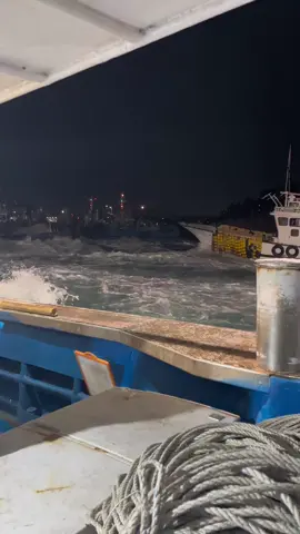 #fishingkorea🇲🇨🇰🇷 #tkikorea #tki #울산 