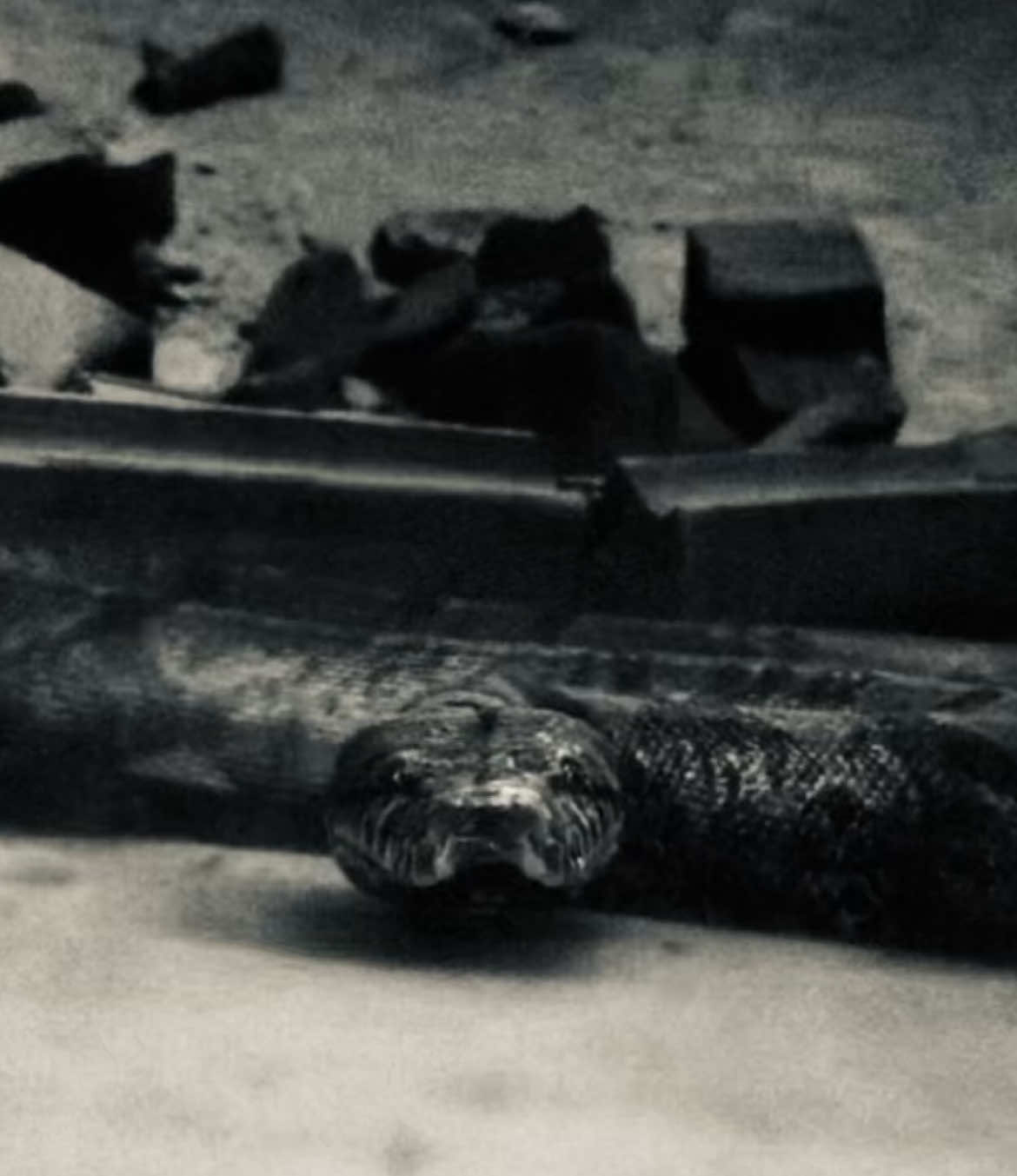 no caption. || #harrypotter #harrypotteredit #darkedit #voldemort #voldemortedit #tomriddle #tomriddleedit #edit #hogwarts #fyp 