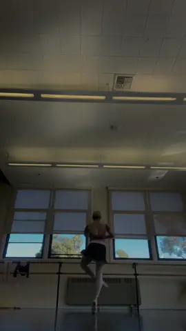 🦢🦢🦢#fyp #ballettok #balletdancer #blackswan #blackswanbts 