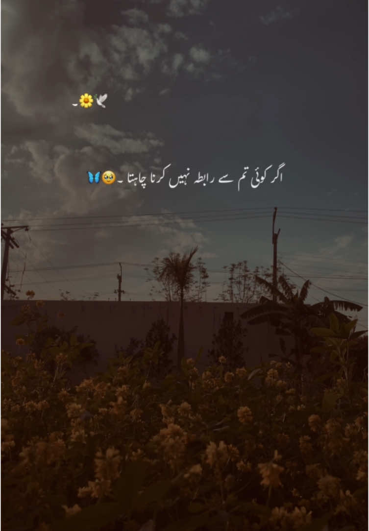 Beshak 🥺🔏❤️#asthetic #foryou #foryoupage #poetry #poetrystatus #grow #account #yousaf_vibes1 