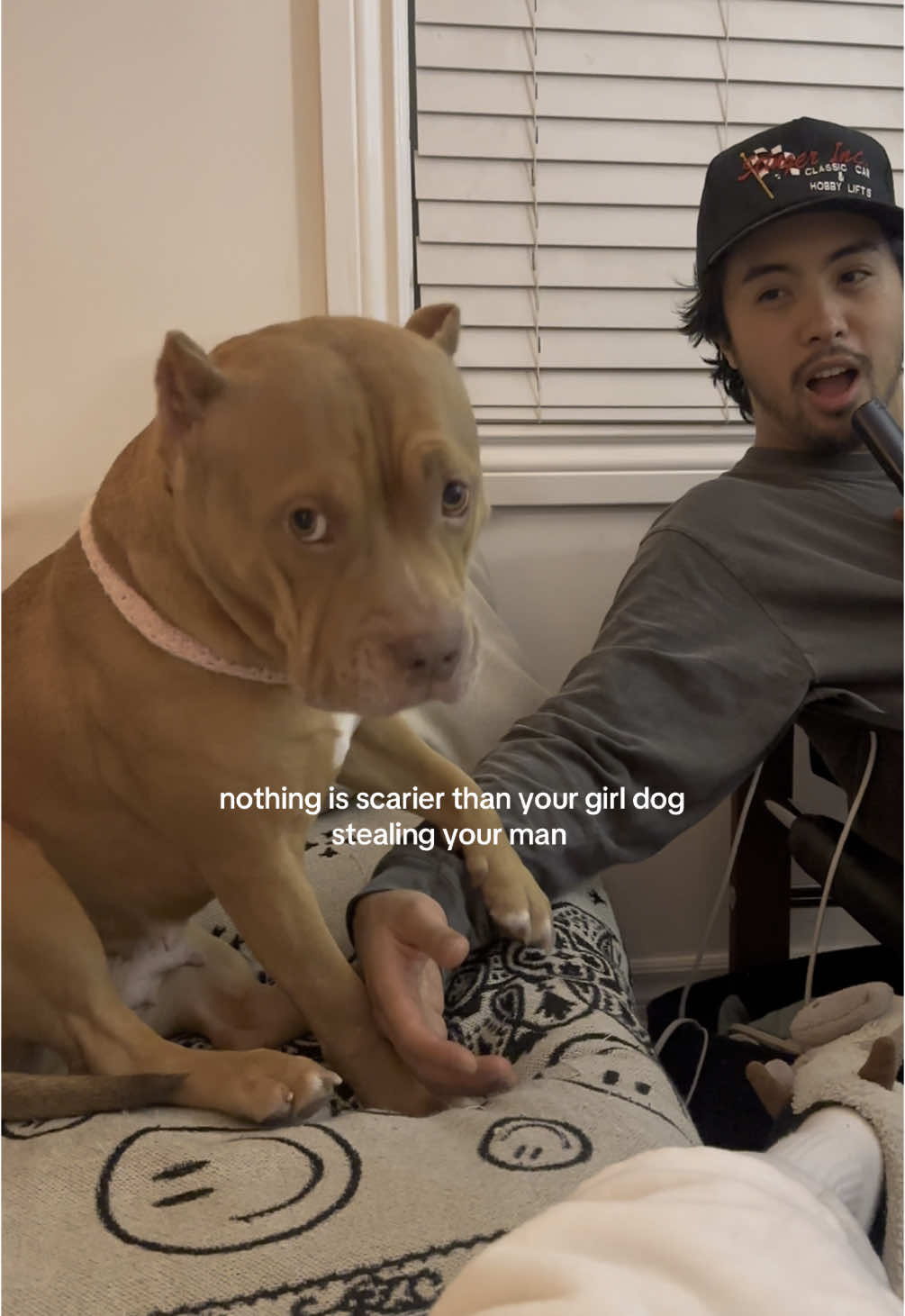 another one because she really has stolen dad 😩 #dogsoftiktok #americanbully #pocketbully #dadsgirl #girldog #velcrodog #funnydogsoftiktok #jealous #jealousdog #clingypet #clingydog #puppy 