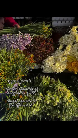 လောကအလင်းဆောင်လာသူအတုမရှိဂေါတမမြတ်စွားဘုရား#myanmartiktok🇲🇲🇲🇲 #yuri #စာတို 