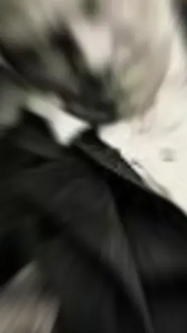 التخلي عن الحلم يعتبر آنتحار شخصي لا تيأس أن فشلت مره حاول لكي تصبح ناجح  #دوستويفسكي #شوبنهاور #تولستوي #حكم_وأمثال_وأقوال #اقتباسات #اقتباسات #vrail #foryoupage #videoviral #اقتباسات_عبارات_خواطر #اقوال_الحكماء #اقوال_وحكم_الحياة #اقتباسات 