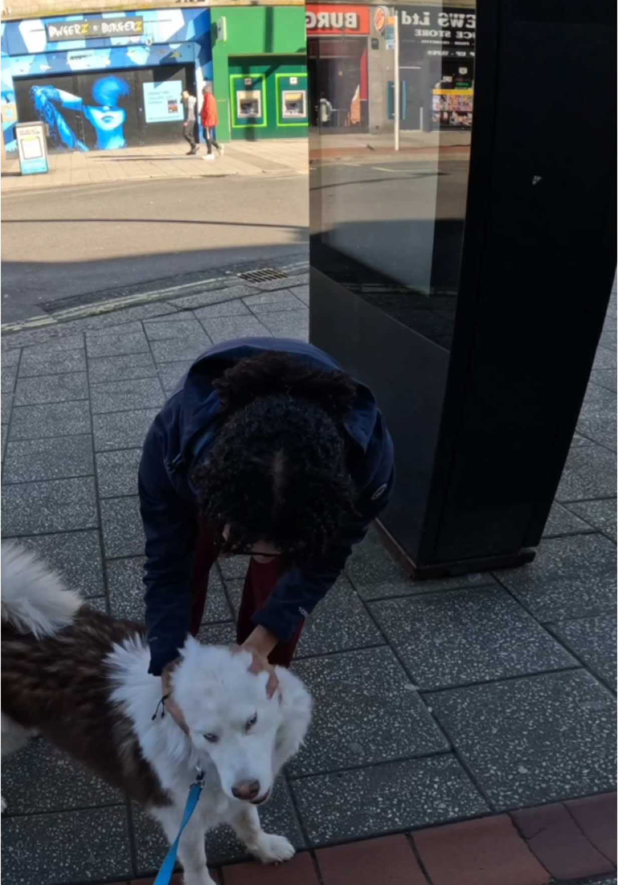 Interactions with my dog!!  #husky #viral #Vlog #dogoftheday #pets #fyp #foryoupage #foryou 