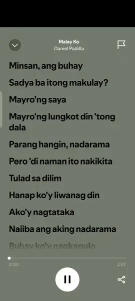 Malay Ko #DanielPadilla #spotify  #cupcut #foryoupage  #foryou 