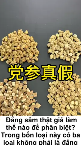 Cách phân biệt đẳng sâm thật giả#dongy #yhoccotruyen #suckhoe #vutm #xemluoidoanbenh 