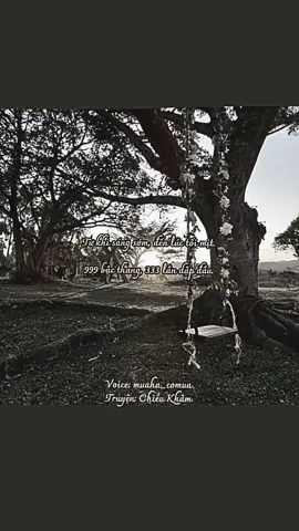 #muaha_comua #chieukham #trend #tiktokvietnam #BookTok #trending #trungquoc #vietnam #capcut #tiktok #xhuong #xhtiktok #fypシ #xh #fyp #tieuthuyetngontinh #ngontinh #voiceactor #CapCut 