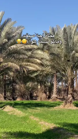 #صيف #رجعنه #ع حر 🥵 #اكسبلورexplore 