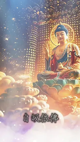 #BuddhistMantra #南无阿弥陀佛 #三皈依#buddha #adidaphat  #buddhaya #nammo  #buddhism #佛教 #prayer #blessings  #worldpeace #peaceful #积德行善 #善果 #功德 #福报 #消除业障 #回向给我往生父母 #回向法界众生离苦得乐 #一切众生脱离娑婆苦海 #往生极乐世界 #amithofo #感恩 