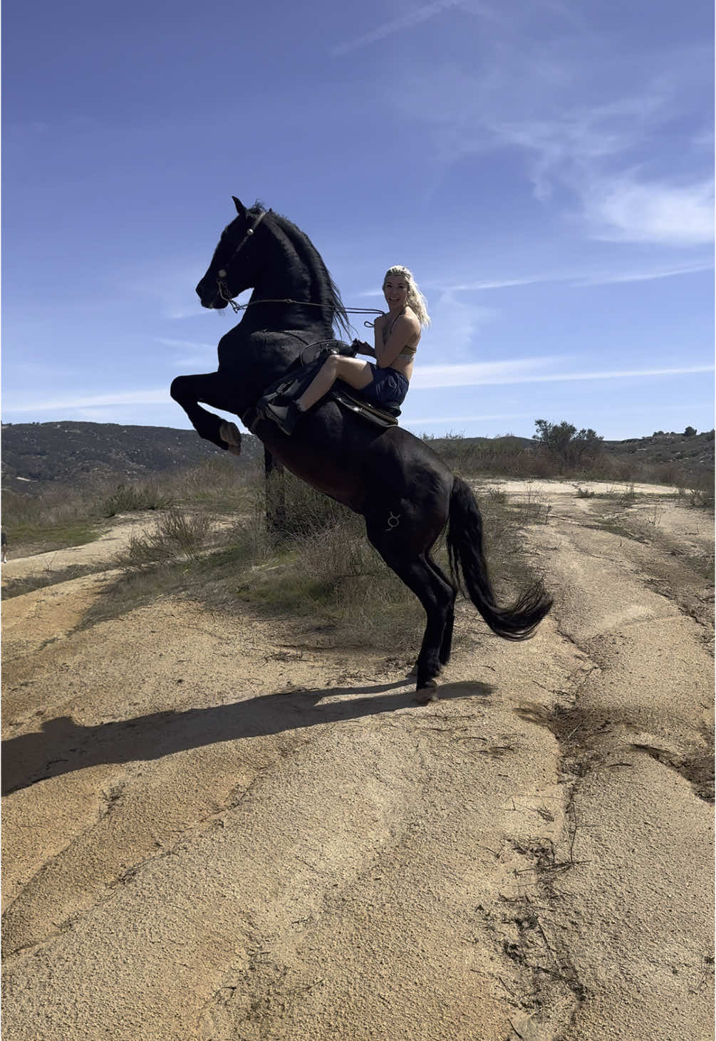 Obsessed with this horse 😍❤️#horsesoftiktok 