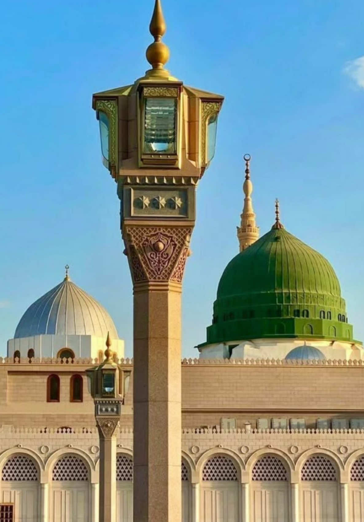 Left my Heart in Madina 💚 #madina #medina #masjidnabawi #nabisaw #naqshbandi #sufi 