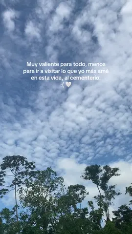 Muy valiente para todo pero esto me sobrepasa, no puedo. 😣🤍 #serenata #asifue #100años #maciel #madre #cementerio #teextraño #valiente #cielo #contenido 