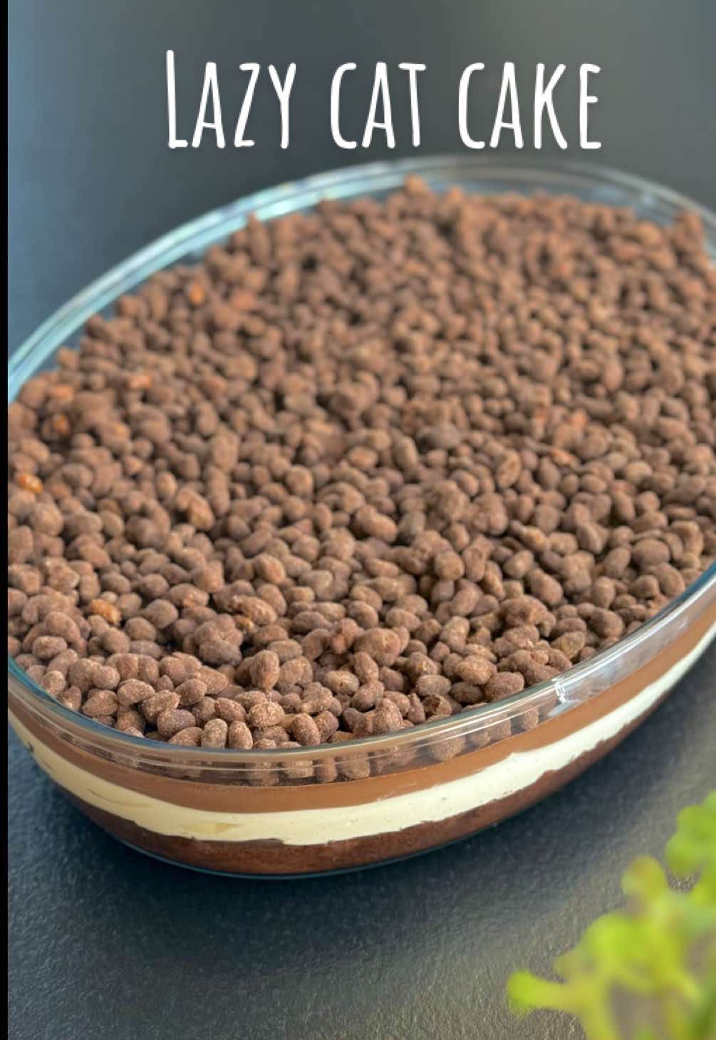 Lazy Cat Cake- Ahmad Al Zamel– لايزي كات كيك-احمد الزامل ⭕️عربي: الوصفة الكاملة 📌مكونات الكيك: 	•	نصف كوب(١٢٠مل) زيت 	•	نصف كوب(١٢٠مل)حليب  	•	بيضة واحدة 	•	نصف كوب(١٢٠مل) سكر 	•	6 ملاعق كبيرة طحين 	•	بيكنج باودر 8 غرام 	•٤ملاعق كبيرة كاكاو الحلويات  •	رشة ملح 	•	 كوب حليب(٢٤٠مل)+ملعقة كبيرة  كاكاو حلو (بعد الخبز) طريقة التحضير: 	1.	اخلطي جميع المكونات واخبزيها في فرن على حرارة 180 درجة مئوية (نار علوية وسفلية) لمدة 30 دقيقة. 	2.	بعد أن يبرد الكيك، اسقيه بنصف كوب من الحليب والكاكاو. 📌طبقة الكريمة: 	•	نصف كوب حليب مكثف محلى 	•	100 مل كريمة خفق 	•	200 غرام جبنة كريمية+200غرام مسكاربونة •ظرف مثبت الكريمة   طريقة التحضير: اخلطي جميع المكونات بالخلاط حتى تصبح كريمة ناعمة، ثم ضعيها فوق الكيك. ثم ضعيه في الثلاجة لمدة ساعة. 📌طبقة الجاناش (الشوكولاتة): 	•	75 غرام شوكولاتة  	•	75 غرام شوكولاتة سودا 	•	200 مل كريمة خفق طريقة التحضير: 	1.	سخني كريمة الخفق (لا تدعيها تغلي). 	2.	أضيفي الشوكولاتة وقلّبي حتى تذوب تمامًا. 	3.	اسكبي الجاناش فوق الكيك المبرد ووزعيه بالتساوي. بالبراد ساعة 📌طبقة الكورن فليكس المقرمشة: 	•	كوبين كورن فليكس(choco rice)  	•	١٠٠غرام شوكولاتة مذابة 	•	ملعقتان كبيرتان من الكاكاو الحلو طريقة التحضير: 	1.	قومي بإذابة الشوكولاتة . 	2.	أضيفي الكاكاوالحلو وامزجي جيدًا. 	3.	ضعي كورن فليكس (choco rice)في الخليط وقلّبي حتى يغطى بالكامل. 	4.	وزّعي الخليط كطبقة أخيرة فوق الكيك. نصيحة: بردي الكيك لفترة قصيرة حتى  تتماسك الطبقة الأخيرة ⭕️Deutsch 📌 Zutaten für den Kuchen: 	•½ Tasse (120 ml) Öl 	•½ Tasse (120 ml) Milch 	•1 Ei 	•½ Tasse (120 ml) Zucker 	•6 Esslöffel Mehl 	•8 g Backpulver 	•4 Esslöffel Kakaopulver  	•Eine Prise Salz 	•240ml Tasse Milch + 1 Esslöffel süßes Kakaopulver (nach dem Backen) Zubereitung: 	1.	Alle Zutaten vermischen und bei 180 °C (Ober- und Unterhitze) für 30 Minuten backen. 	2.	Den Kuchen nach dem Abkühlen mit der Milch-Kakao-Mischung tränken. 📌 Zutaten für die Creme-Schicht: 	•½ Tasse gesüßte Kondensmilch •100 ml Schlagsahne •200 g Frischkäse • 200g mascarpone •1 Packung Sahnesteif Zubereitung: Alle Zutaten mit einem Mixer vermengen, bis eine glatte Creme entsteht. Die Creme auf den Kuchen geben und für eine Stunde in den Kühlschrank stellen. 📌 Zutaten für die Ganache (Schokoladenschicht): 	•75 g Vollmilchschokolade 	•75 g Zartbitterschokolade 	•200 ml Schlagsahne Zubereitung: 	1.	Die Schlagsahne erhitzen (nicht kochen lassen). 	2.	Die Schokolade hinzufügen und rühren, bis sie vollständig geschmolzen ist. 	3.	Die Ganache gleichmäßig über den gekühlten Kuchen gießen. Den Kuchen eine Stunde im Kühlschrank lassen. 📌 Zutaten für die knusprige Cornflakes-Schicht: 	•2 Tassen Cornflakes (Choco Rice)von Edeka 	•100 g geschmolzene Schokolade 	•2 Esslöffel süßes Kakaopulver Zubereitung: 	1.Die Schokolade schmelzen. 	2.	Das süße Kakaopulver hinzufügen und gut vermischen. 	3.	Die Cornflakes (Choco Rice) in die Mischung geben und gut umrühren, bis sie vollständig bedeckt sind. 	4.	Die Mischung als letzte Schicht auf den Kuchen verteilen. ⭕️Englisch: 📌 Cake Ingredients: 	•	½ cup (120 ml) oil 	•	½ cup (120 ml) milk 	•	1 egg 	•	½ cup (120 ml) sugar 	•	6 tablespoons flour 	•	8 g baking powder 	•	4 tablespoons cocoa powder (for desserts) 	•	A pinch of salt 	•	240ml milk + 1 tablespoon sweet cocoa powder (after baking) Preparation: 	1.Mix all the ingredients and bake in the oven at 180°C (top and bottom heat) for 30 minutes. 	2.After the cake has cooled, soak it with the milk and cocoa mixture. 📌 Cream Layer Ingredients: 	•½ cup sweetened condensed milk 	•100 ml whipping cream 	•200 g cream cheese        •200g mascarpone 	•1 whipping cream stabilizer Preparation: Blend all the ingredients together until a smooth cream forms. Spread it over the cake and refrigerate for one hour. 📌 Ganache (Chocolate Layer) Ingredients: •75 g milk chocolate •75 g dark chocolate •200 ml whipping cream Preparation: 1.Heat the whipping cream (do not let it boil). 2.Add the chocolate and stir until fully melted. 3.Pour the ganache evenly over the chilled cake. Refrigerate for one hour. 📌 Crispy Cornflakes Layer Ingredients: 	•	2 cups cornflakes (Choco Rice) 	•	100 g melted chocolate 	•	2 tablespoons sweet cocoa powder   #lazycake #ahmadalzamel #lazycat 