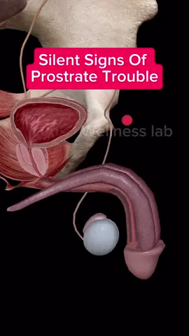 6 SILENT SIGNS OF PROSTRATE TROUBLES. #usatoday #unitedstates   #usa🇺🇸 #prostrate 
