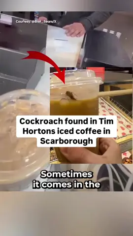 #duet with @Now Toronto #timhortons #cocroach #timmies #timhortons 