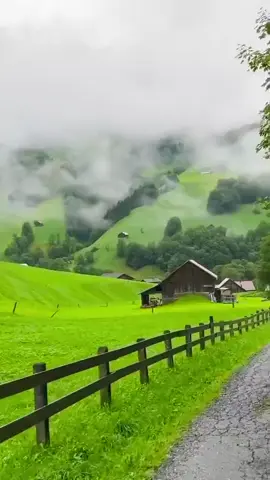صبح کا آغاز قرآن پاک کی تلاوت سے#hadlines💫💫💫💫💫 #everyone #viralvideo #viraltiktok #foryoupage 