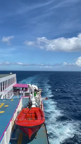 salute to all seafarer#fyp #futuremarino🚢⚓ #marino #maritimestudent⚓️ #bsmtstudent⚓ #seafarer #marine #trending #viral 