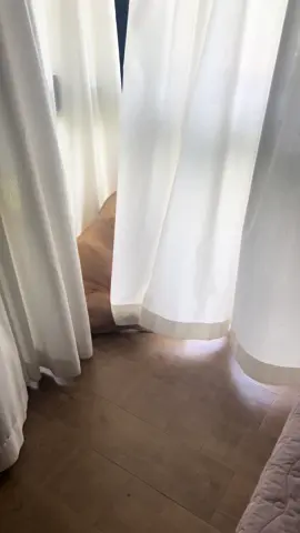 Admirando a natureza…#video #dog #cachorrosdotiktok 