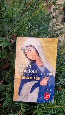 📖 L'amour de loin ✒️ Amin Maalouf 🎞 Paris Au 12ème siècle, un troubadour en Occident chante une femme jamais vue et qui vit en Orient. Un amour lointain et impossible? #aminmaalouf  #amourdeloin #litterature  #academiefrancaise  #litteraturefrancaise  #amour  #amourcontrarie  #troubadour  #poesie  #BookTok #livre #lecture #livreaudio 