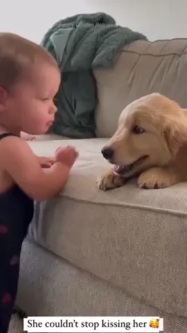 They still have a long time❤️❤️#Love #dog #tiktok #baby 