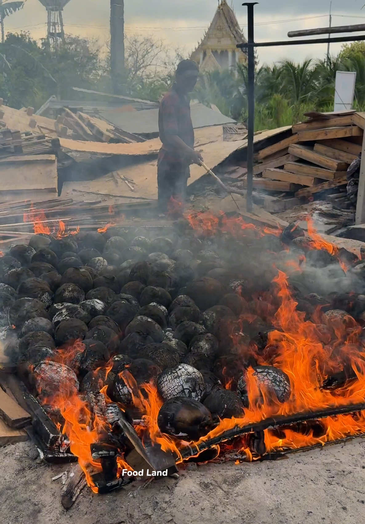 Incredible: An expert peels a burnt coconut barehanded. . Shop name: ยุพินมะพร้าวเผาบ้านแพ้ว 📍Location: Saun som, Ban phaeo, Samut Sakhon, Thailand. ⏰Open at 7 a.m. untill sold out #asmr #foodland #fruit 