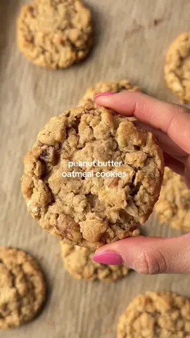 Not gonna lie, these are the best pb cookies I’ve ever had 🤤 these *chewy peanut butter oatmeal cookies* are perfectly soft and chewy, filled with chunks of walnuts, and so simple to make. FULL RECIPE - link in my bio. #vegancookies #peanutbutter #peanutbuttercookies #oatmealcookies #peanutbutteroatmeal #oats #cookies #veganbaking #bakinglove #bakingtime #bakingfromscratch #dietitianapproved #eeeeats #thefeedfeedvegan #thefeedfeed