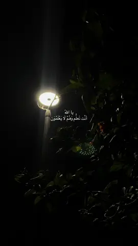 #قران #قران_كريم #fyp #تلاوة_خاشعة #اسلاميات #دعاء #دعاء_عظيم #دعاء_مستجاب 