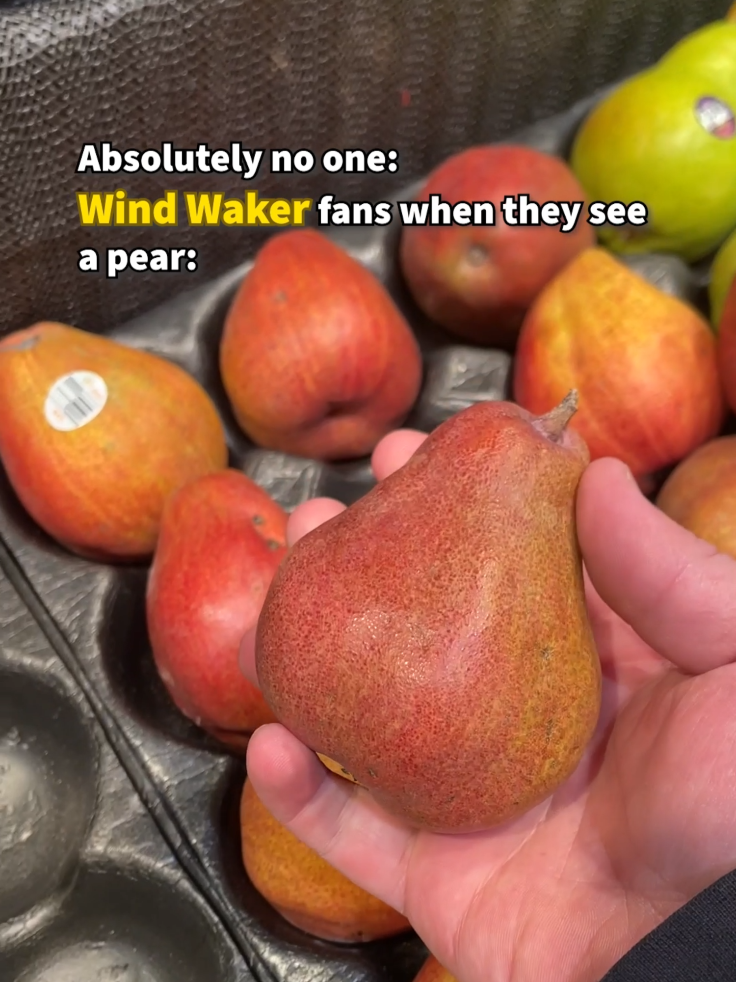 Tag a friend that would do this 🤣 ⬇️ | Wind Waker Fans When They See a Pear 🍐🕊️ Don't lie, you know you've thought this at least once! The Hyoi Pear is a usable item in The Legend of Zelda: The Wind Waker which allows you to take control of a seagull. Link puts it on his head and a nearby seagull will snatch it, allowing you to fly around and control the seagull :) #zelda #nintendo #windwaker #gamingcomedy #gamingnostalgia