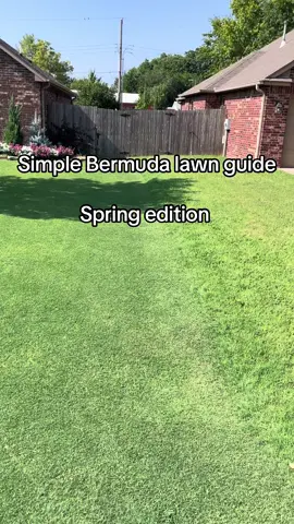 A simple guide to have a nice Bermuda lawn. Spring edition. February - April. Mowing: Begin mowing with the appearance of green grass shoots, cutting the lawn as short as possible without exposing soil. Remove clippings to prevent smothering new growth. You can use a rake if you’d like and don’t be afraid to be abrasive. This allows sunlight to warm the soil, encouraging Bermuda grass development. Mow below your desired height of cut (HOC) for flexibility later. For example, to maintain a lawn at 0.75″, start by mowing to 0.50″. If using a rotary mower, scalp one notch below your target HOC. Fertilizing: Start fertilizing when the lawn is roughly 50% green, using a balanced fertilizer like 10-10-10 or 20-20-20 at 0.5-1.0 lb of Nitrogen per thousand square feet. This provides sufficient Phosphorus for the year, as it doesn’t easily leach from soil. Maintain with 0.5-1.0 lbs of Nitrogen every 30 days to support Bermuda growth. Watering: Begin regular watering when the lawn greens by 50%, adjusting for spring rainfall. Early in the season, less than 1″ per week may suffice due to cooler night temperatures and reduced evaporation. Increase watering as temperatures climb. A smart sprinkler controller may help auto-adjust while the season progresses. Weed Control: Apply pre-emergent herbicides now if not already done. For existing weeds, use appropriate herbicides targeting what you’re dealing with – usually broadleaf, grassy, or sedge weeds. Products like Celsius and Certainty may act slower in cooler temperatures, taking longer to eliminate weeds but are highly effective in bermuda grass lawns. #lawncare #DIY #grass 