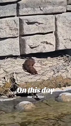 #onthisday