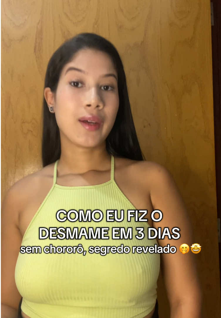 Eu jurei que era um bicho de sete cabeças, mas foi super tranquilo! Deixei várias dicas pra vocês no vídeo🩷 #maternidade #amamentação #desmame #desmamegentil #maternidadereal 