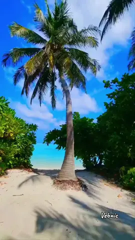 Just Another Day-Jon Secada #oldsongmemories #90s 