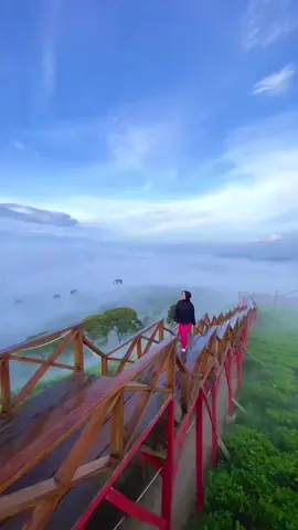 📍Taman Langit, Bandung 🇮🇩 Taman langit menawarkan keindahan alam semula jadi dan kebun teh yang luas.  Tempat yang sejuk ini sesuai dijadikan lokasi untuk menyegarkan diri sejenak dari kesibukan kota. 😍 . #tripbandungmurah #tripbandung #pakejbandung #bandungmuslimtour #travel #trip #tour #vacations #explorebandung #bandunghits #bandung