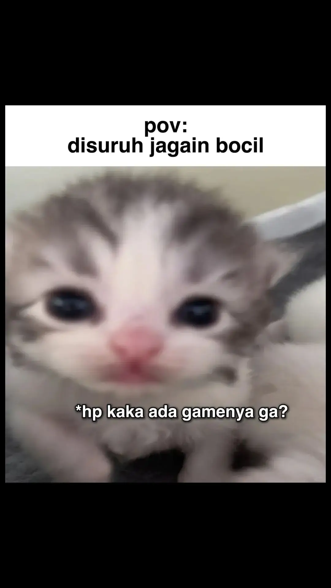 #meme #fypツ ib: lwtfyp