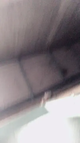 Vy đồng tiền 💴 