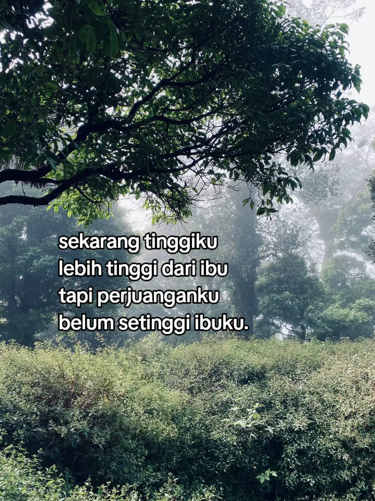 #galaubrutal #galaustory #foryoupage #fypシ #fyppppppppppppppppppppppp 