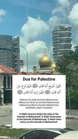 May the entire Muslim community around the world Supplicate for Palestine and Yemen during the last days of Ramadan. Jazakhallah khair