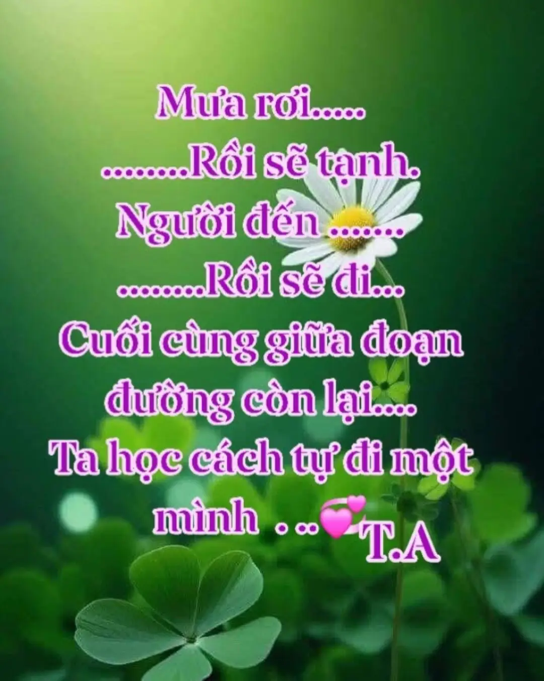 #xuhuongtiktok 