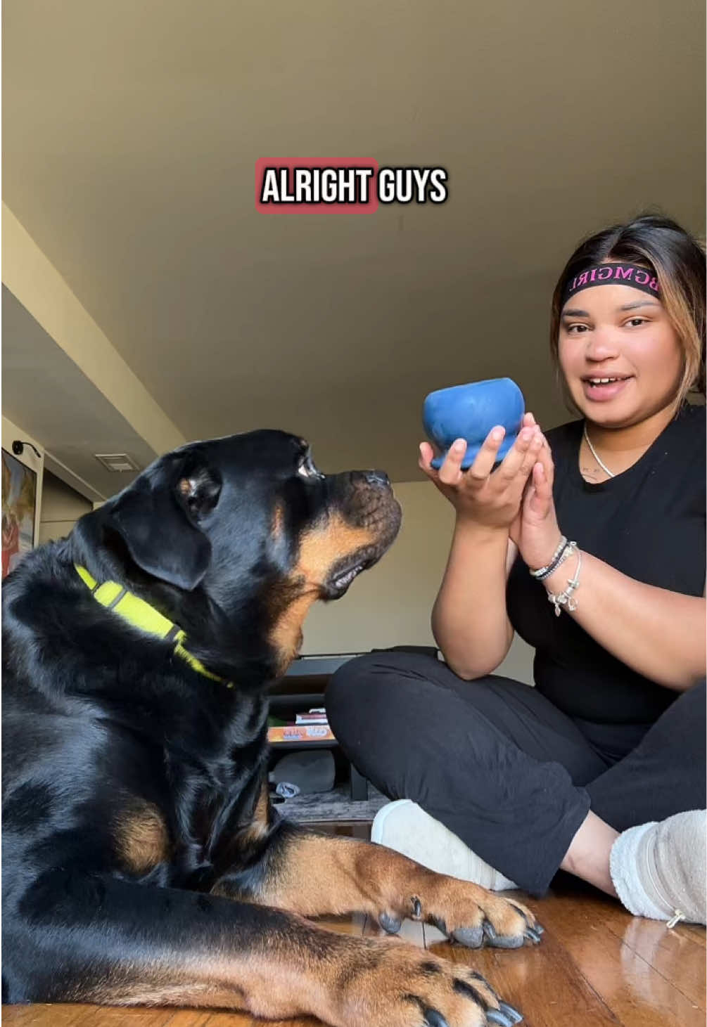 PART 3 😂🥰 #rottweiler #rottweilersoftiktok #PetsOfTikTok #doggiesoftiktok #dogsoftiktok #rottiesoftiktok #rottierumble #rottiepurr #rottiemom 