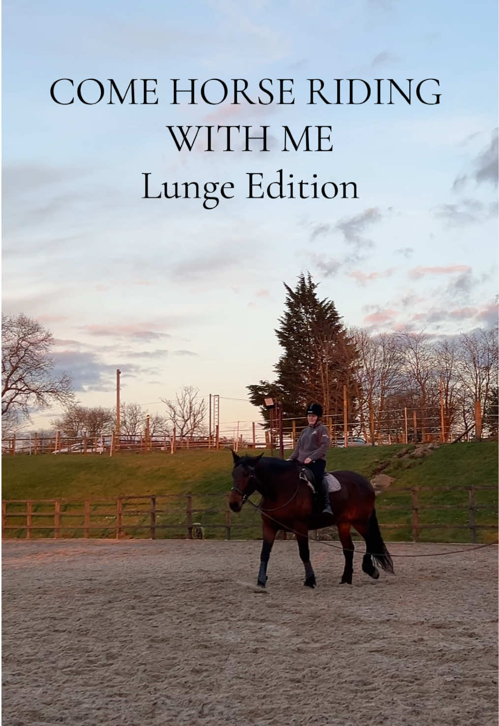 Horse Riding Lesson - Lunge Edition 🐴💗 #horsesoftiktok #horses #fyp #horsetok  