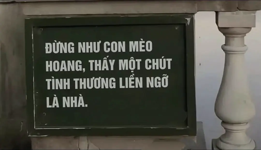 Nhìn một lần, nhớ một khắc  Thương một chốc, chờ một đời…#tamtrang #tinhyeu #sad 