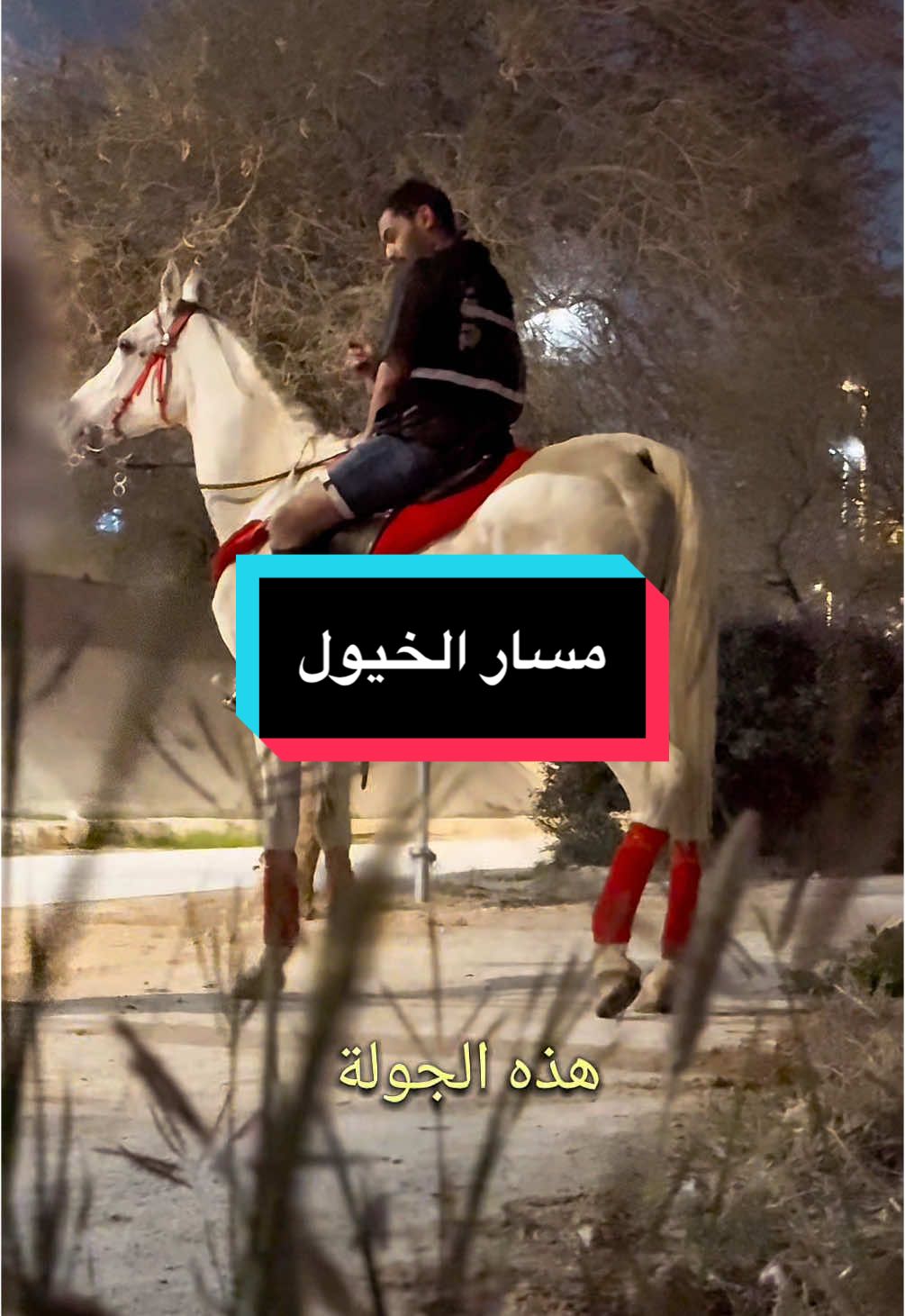 الرد على @M.M.M هذا حساب مربط الخيل @مربط شادو للخيل العربية 🐎 العربية 🐎 في #وادي_اوبير عند #المسار_الرياضي  #مسار_الخيل الرياضي في وادي حنيفة بالرياض! 🏇✨ تجربة فريدة لمحبي الفروسية وسط الطبيعة الخلابة جربتم هذا المسار من قبل؟شاركوني تجربتكم! 💬💛 The horse-riding trail at Wadi Hanifa in Riyadh! 🏇✨ A unique experience for equestrian lovers surrounded by stunning nature. Have you tried this trail before? Share your thoughts! 💬💛