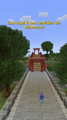 isso é bem curioso #Minecraft #fyp