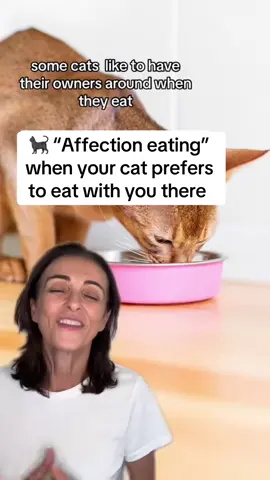 For the clingy cats out there  🐈🐈‍⬛ #affectioneating #clingycats 