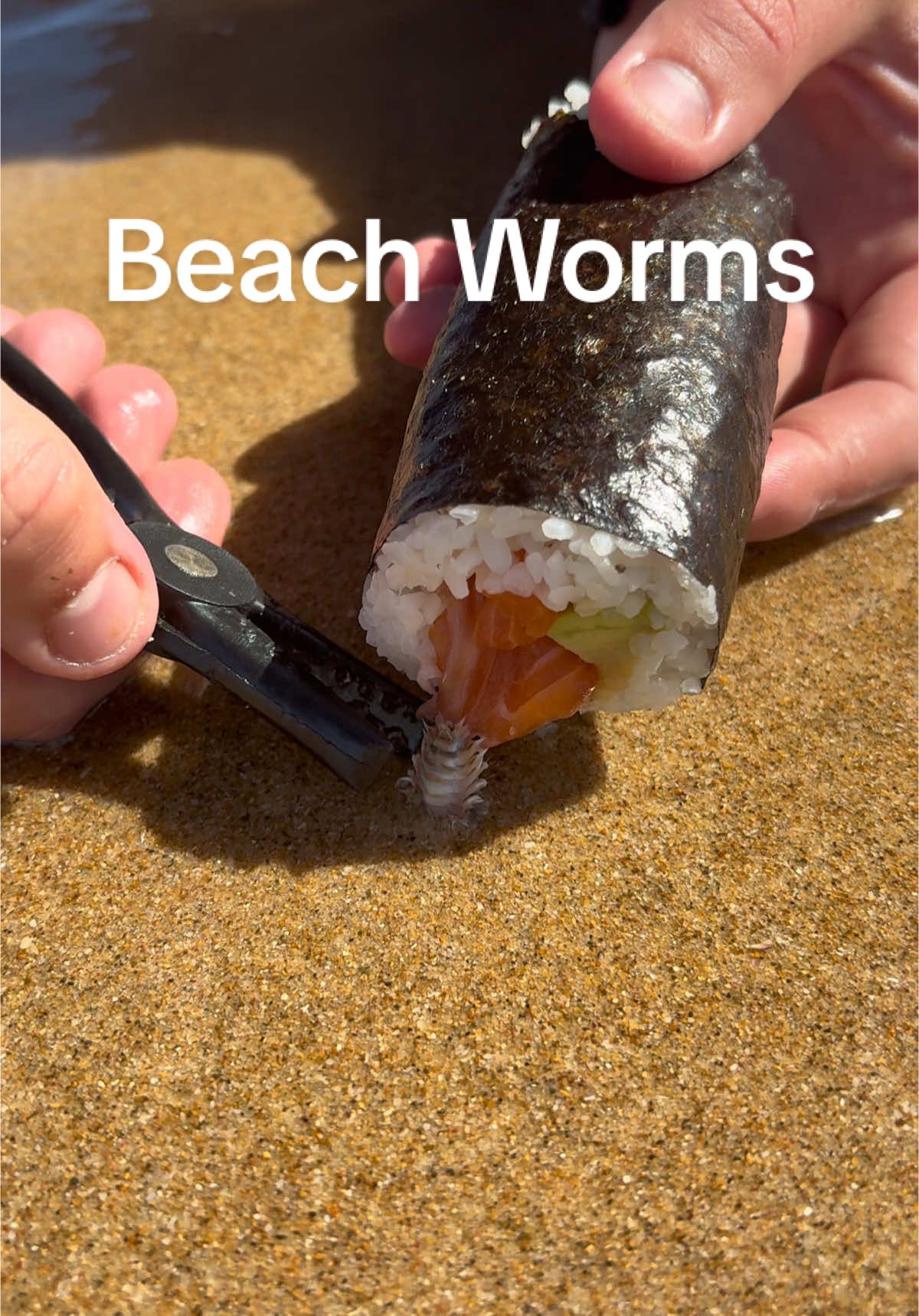 Beach Worms love sushi #foryou #foryoupage #sushi #beach #fyp #explore #travel #fypシ゚ #fy #you 