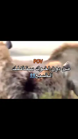 حتي لو كنت اسد#fyp #تصميم_فيديوهات🎶🎤🎬 #متابعه #لايك_متابعه_اكسبلور #اكسبلور 