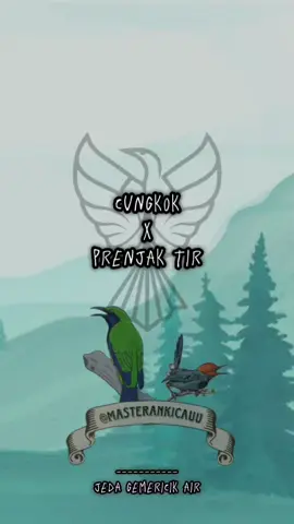 Membalas @𝕃𝔼𝕃𝔼𝕃𝔸𝕎𝔸ℝ masteran cungkok X prenjak tir #masterankicauu #masteran #cungkok #prenjaktir #prenjak 